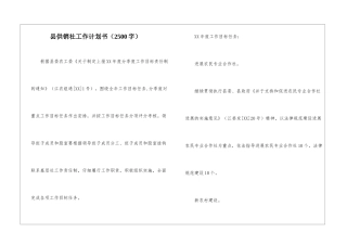 县供销社工作计划书