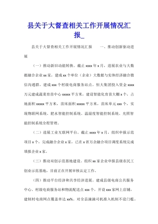 县关于大督查相关工作开展情况汇报1