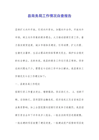县商务局工作情况自查报告-