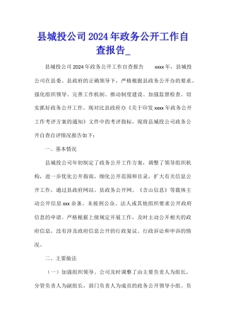 县城投公司2024年政务公开工作自查报告