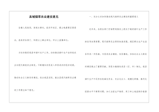 县域烟草农业建设意见