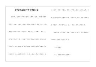 县审计局2024年审计项目计划