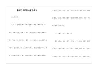 县审计部门年终审计报告
