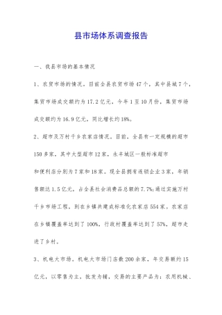 县市场体系调查报告-