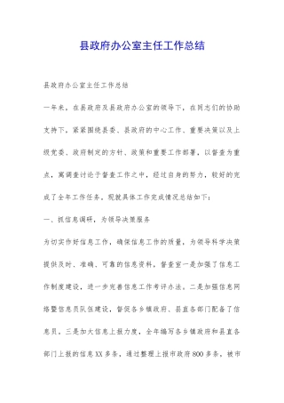 县政府办公室主任工作总结-