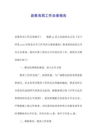 县教育局工作自查报告