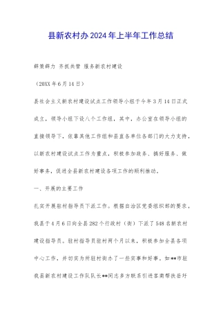 县新农村办2024年上半年工作总结-