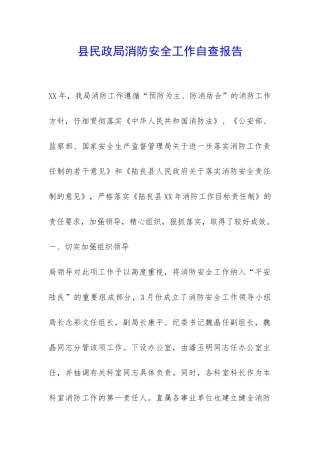 县民政局消防安全工作自查报告-