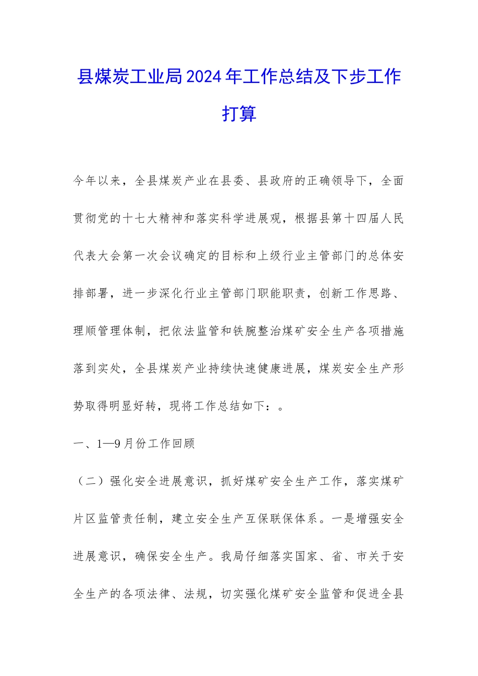 县煤炭工业局2024年工作总结及下步工作打算-_第1页