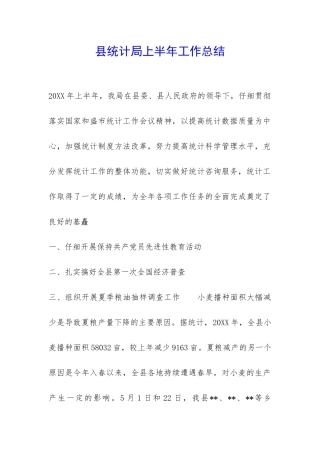 县统计局上半年工作总结-