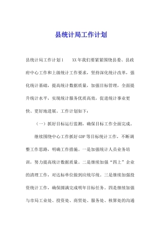 县统计局工作计划