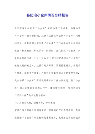 县防治小金库情况总结报告-