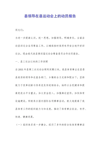 县领导在县运动会上的动员报告-