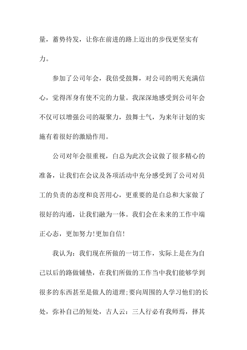 参加年会活动总结_第3页