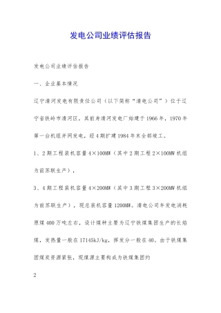 发电公司业绩评估报告-