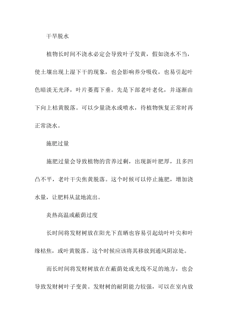 发财树叶子发黄常见原因和处理办法_第3页