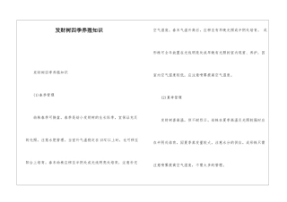 发财树四季养殖知识