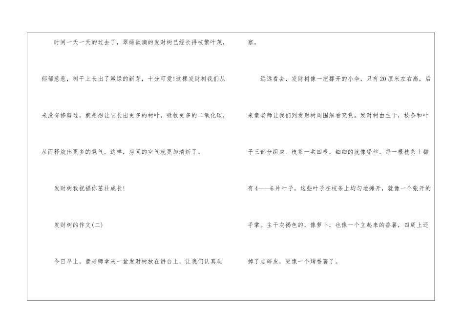 发财树的作文400-作文1050字-写植物的作文_第2页