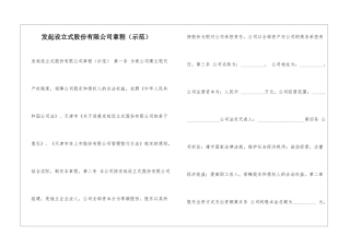 发起设立式股份有限公司章程-