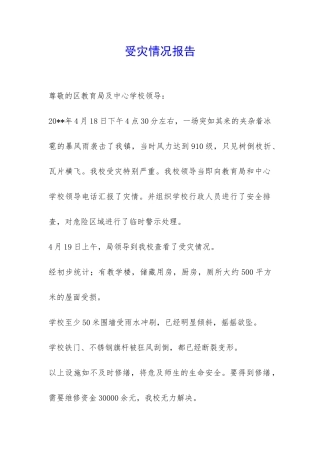 受灾情况报告-