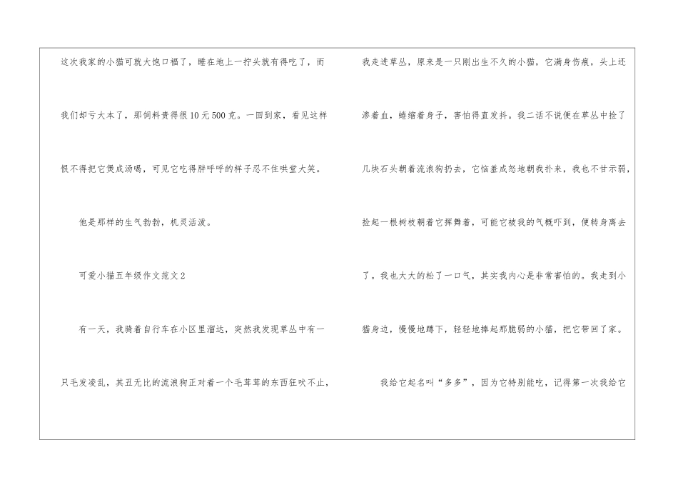 可爱小猫五年级作文5篇_第3页