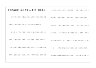 台灯的自述初一作文-作文900字-初一状物作文