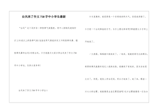 台风来了作文750字中小学生最新