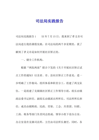 司法局实践报告