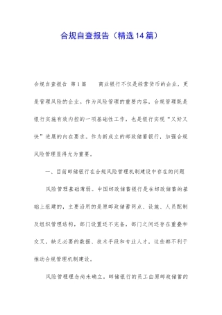 合规自查报告