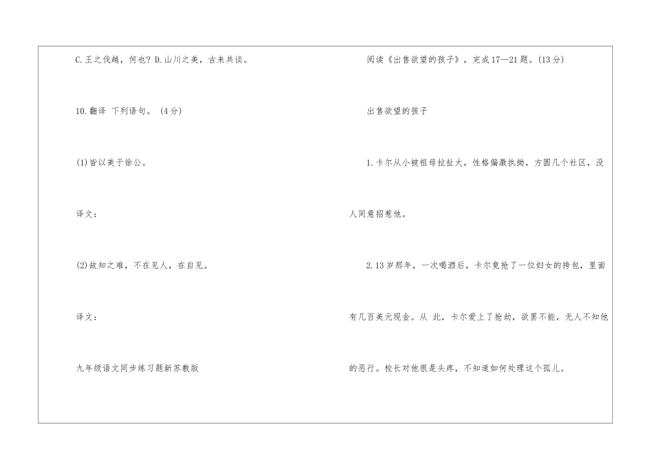 同步练习语文九年级习题_第3页