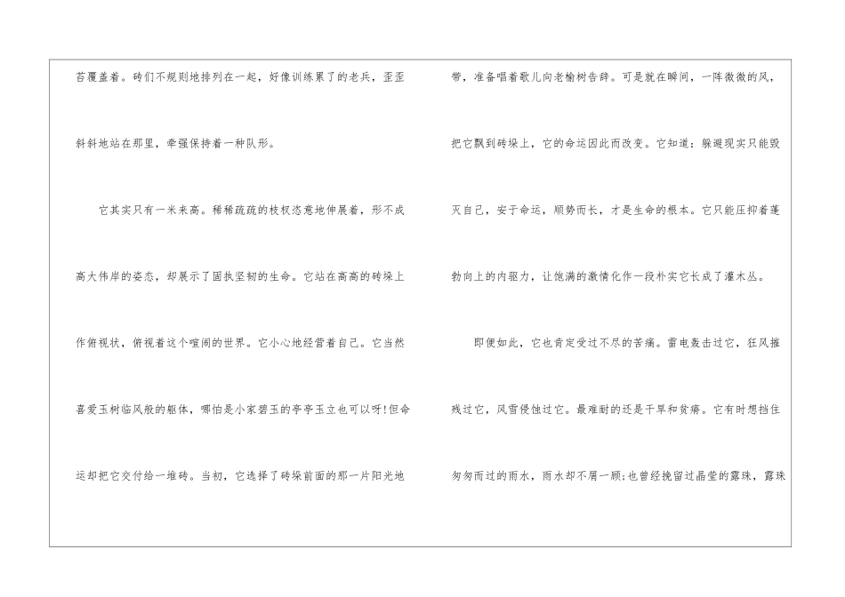 向一棵树鞠躬阅读答案2024--向一棵树鞠躬阅读答案解析-_第2页