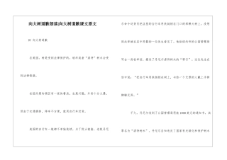 向大树道歉朗读-向大树道歉课文原文-