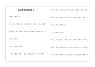 向日葵中队事迹简介