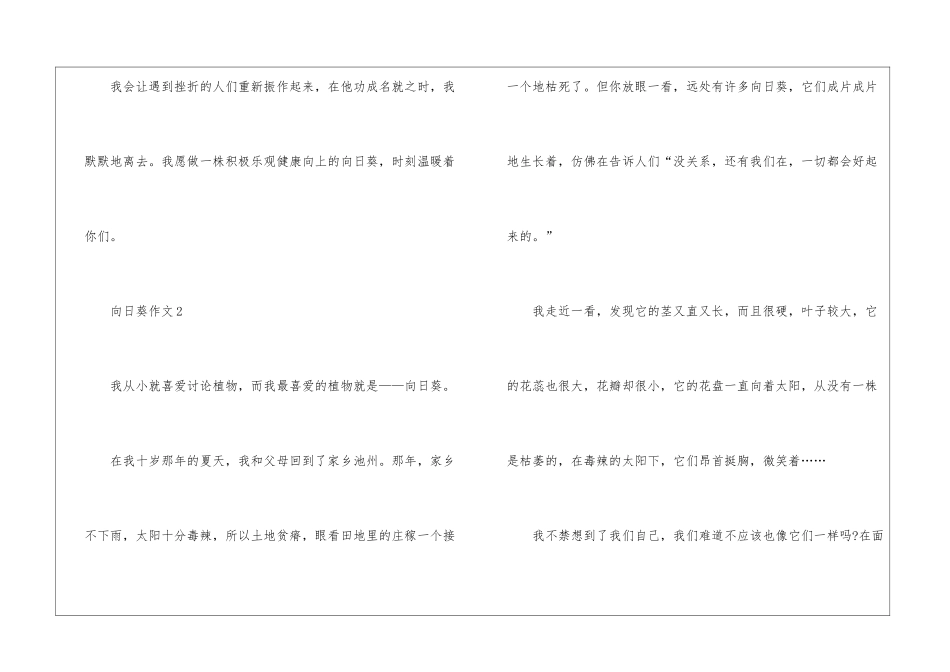 向日葵主题作文最新5篇_第3页