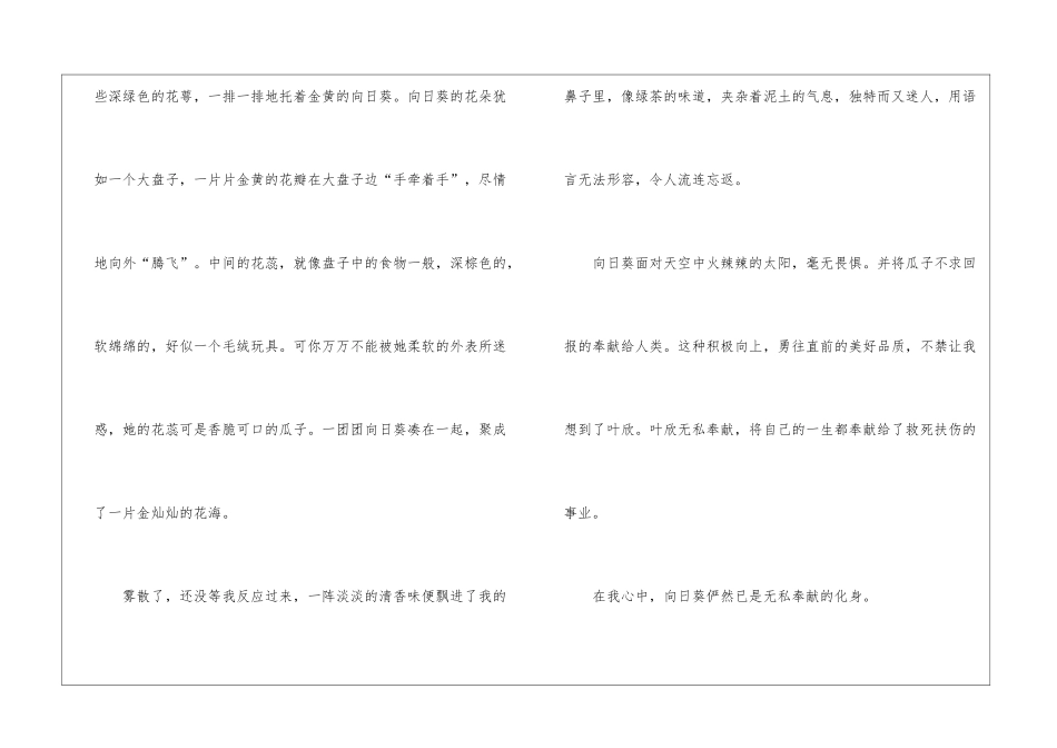 向日葵小学学生作文最新5篇_第2页