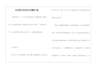 向日葵小学学生作文最新5篇