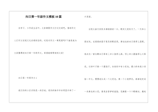 向日葵一年级作文模板10篇