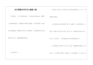 向日葵满分学生作文最新5篇