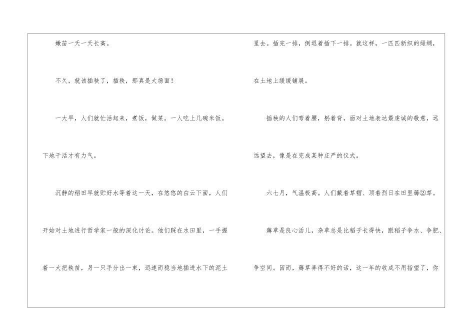 向稻子致敬阅读理解2024--向稻子致敬文章-_第2页