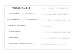 向阳而生高三作文800字5篇