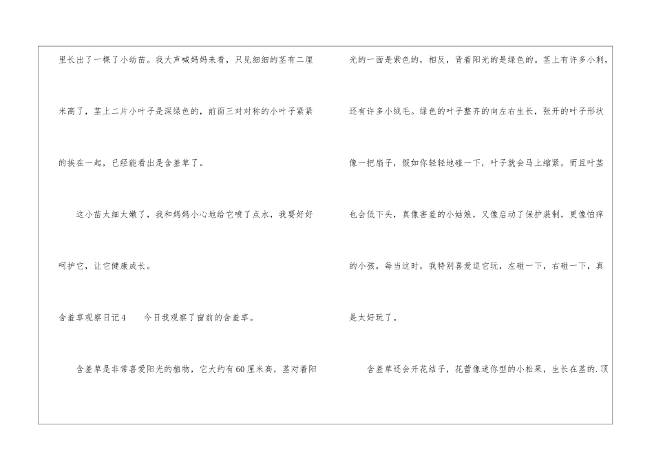 含羞草观察日记_第3页
