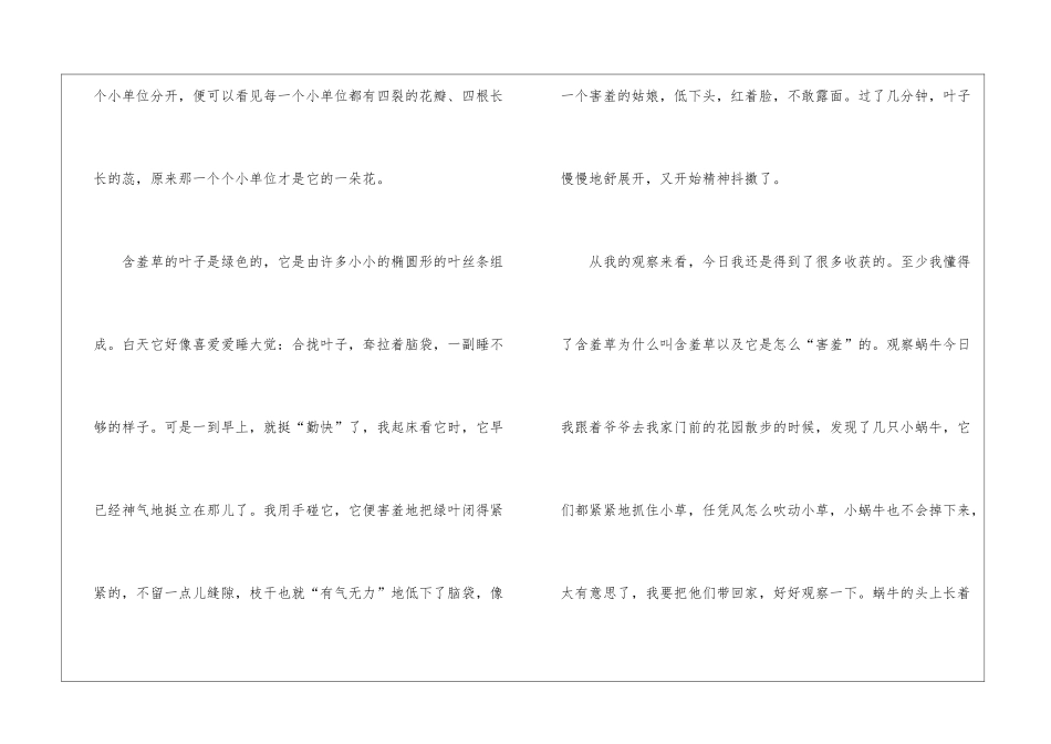 含羞草初三优秀作文800字7篇_第2页