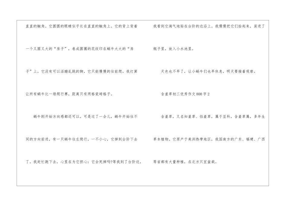 含羞草初三优秀作文800字7篇_第3页
