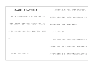 员工2024下半年工作计划5篇