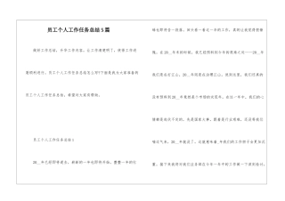 员工个人工作任务总结5篇