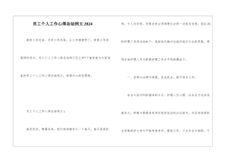 员工个人工作心得总结例文2024