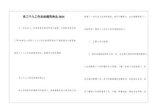 员工个人工作总结通用体会2024