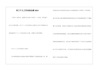 员工个人工作总结全新2024
