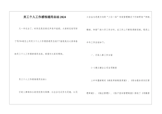 员工个人工作感悟通用总结2024