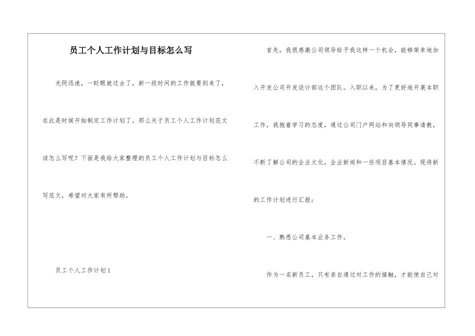 员工个人工作计划与目标怎么写_第1页